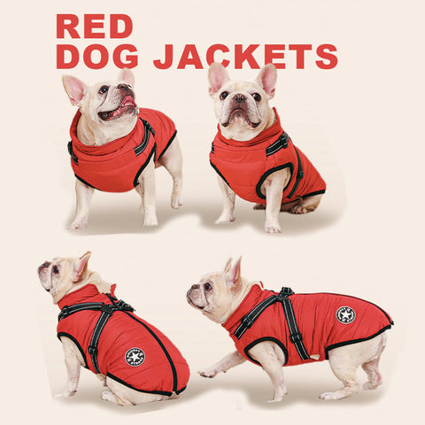 Warm Waterproof Dog Winter Jacket with Integrated Harness for Cold Weather
