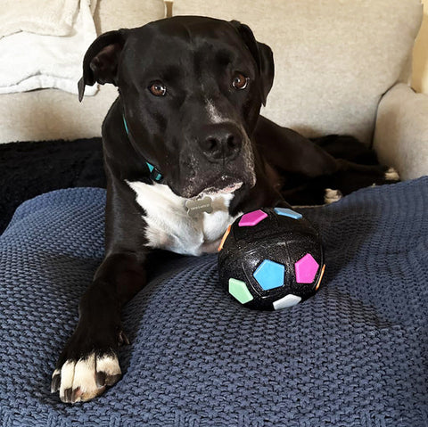 Durable Squeaky Dog Ball Toy with Handle for Fetch & Anxiety Relief