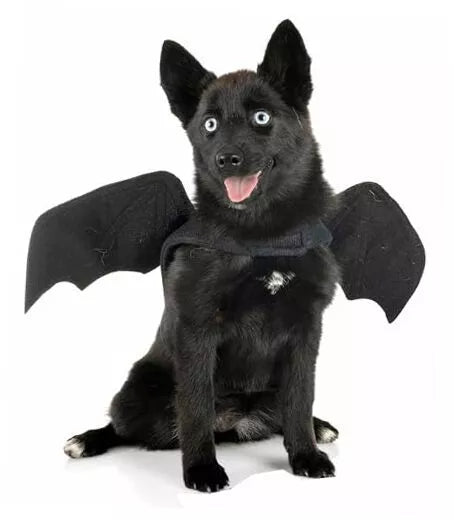 Spooky Bat Wings Dog Halloween Costume: Comfortable, Adjustable Fit for Pet Fun