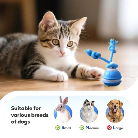 Smart Touch-Activated Interactive Rolling Pet Ball Toy for Dogs and Cats
