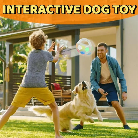 Durable Squeaky Dog Ball Toy with Handle for Fetch & Anxiety Relief