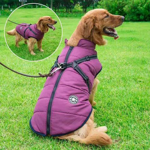 Warm Waterproof Dog Winter Jacket with Integrated Harness for Cold Weather