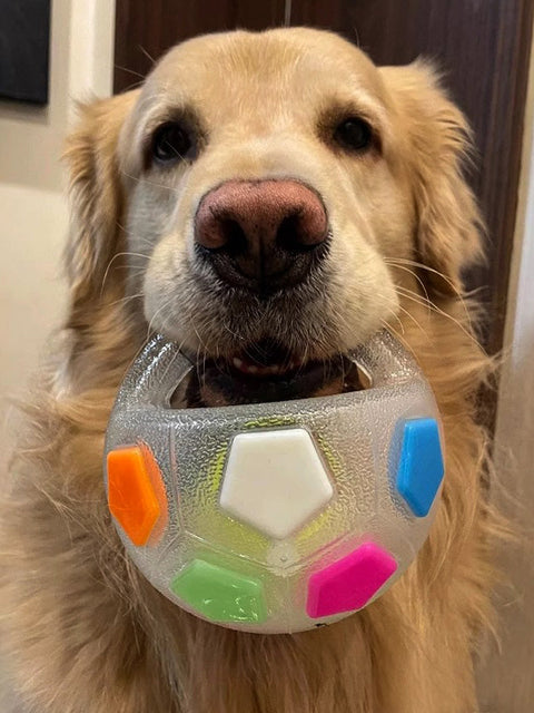 Durable Squeaky Dog Ball Toy with Handle for Fetch & Anxiety Relief