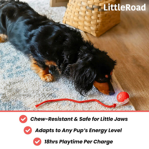 Smart Self-Rolling Interactive Motion Dog Toy for Playful Pet Exercise