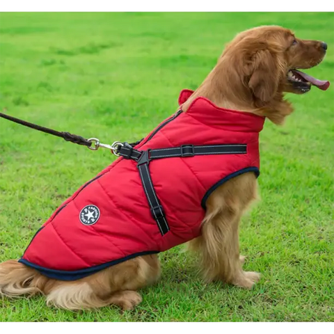 Ultimate Winter Dog Jacket with Integrated Harness for Cold Weather Adventures