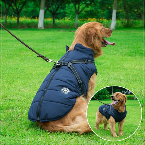 Warm Waterproof Dog Winter Jacket with Integrated Harness for Cold Weather