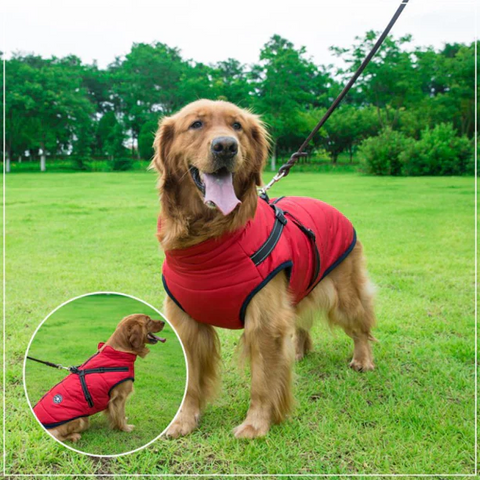 Warm Waterproof Dog Winter Jacket with Integrated Harness for Cold Weather