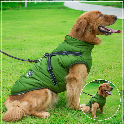 Warm Waterproof Dog Winter Jacket with Integrated Harness for Cold Weather