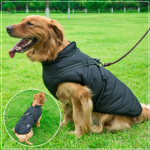Warm Waterproof Dog Winter Jacket with Integrated Harness for Cold Weather