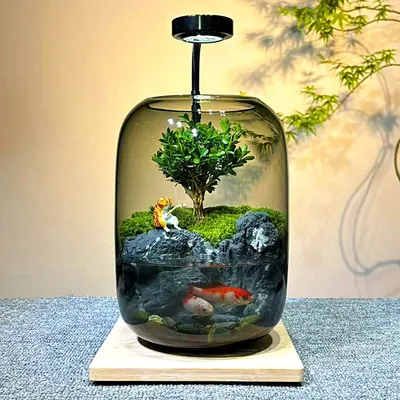 Ecological Glass Aquarium with Timer Light - aquariums & tanks for aquariums