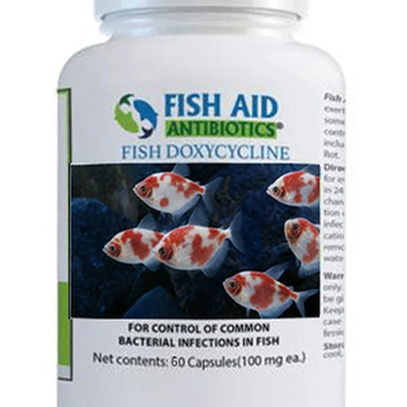 Fish Dox 100mg 60-Tablets