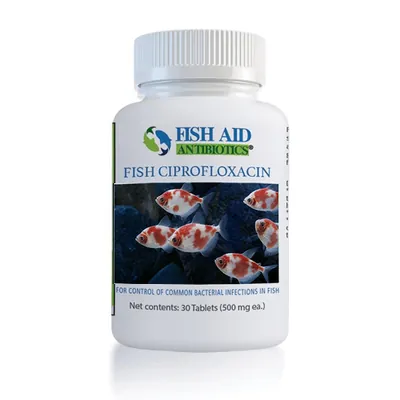 Fish Flox 500 - 60 Capsules