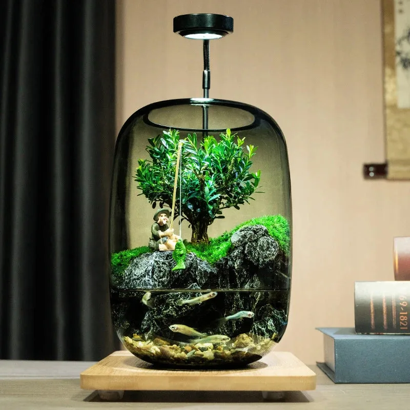 Micro-Landscape Glass Aquarium — Modern Display Tank - aquariums & tanks for aquariums