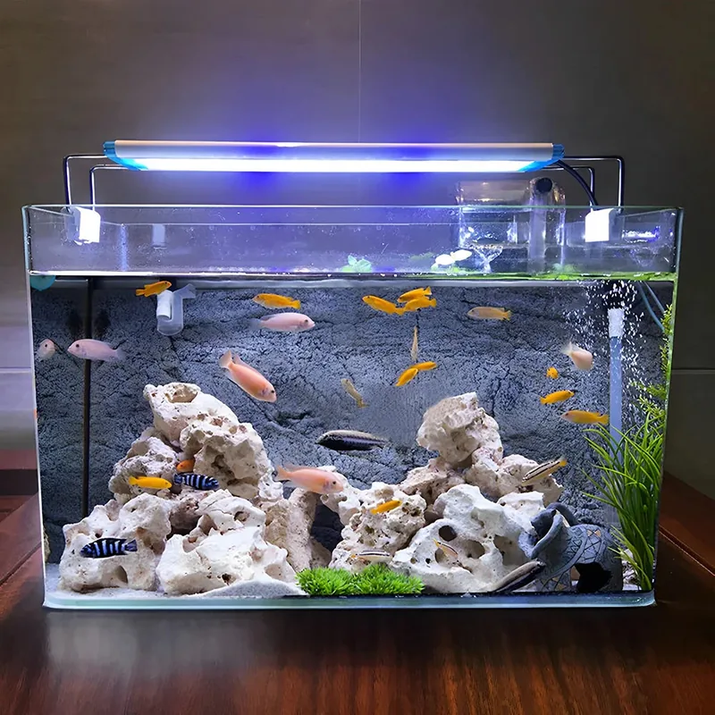 Rectangular Glass Aquarium — Small & Medium Display Tank - aquariums & tanks for aquariums