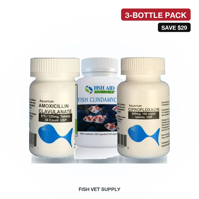 Resistant & Recurring Infection Pack (Clav 875 + Clin 150 + Flox 500)