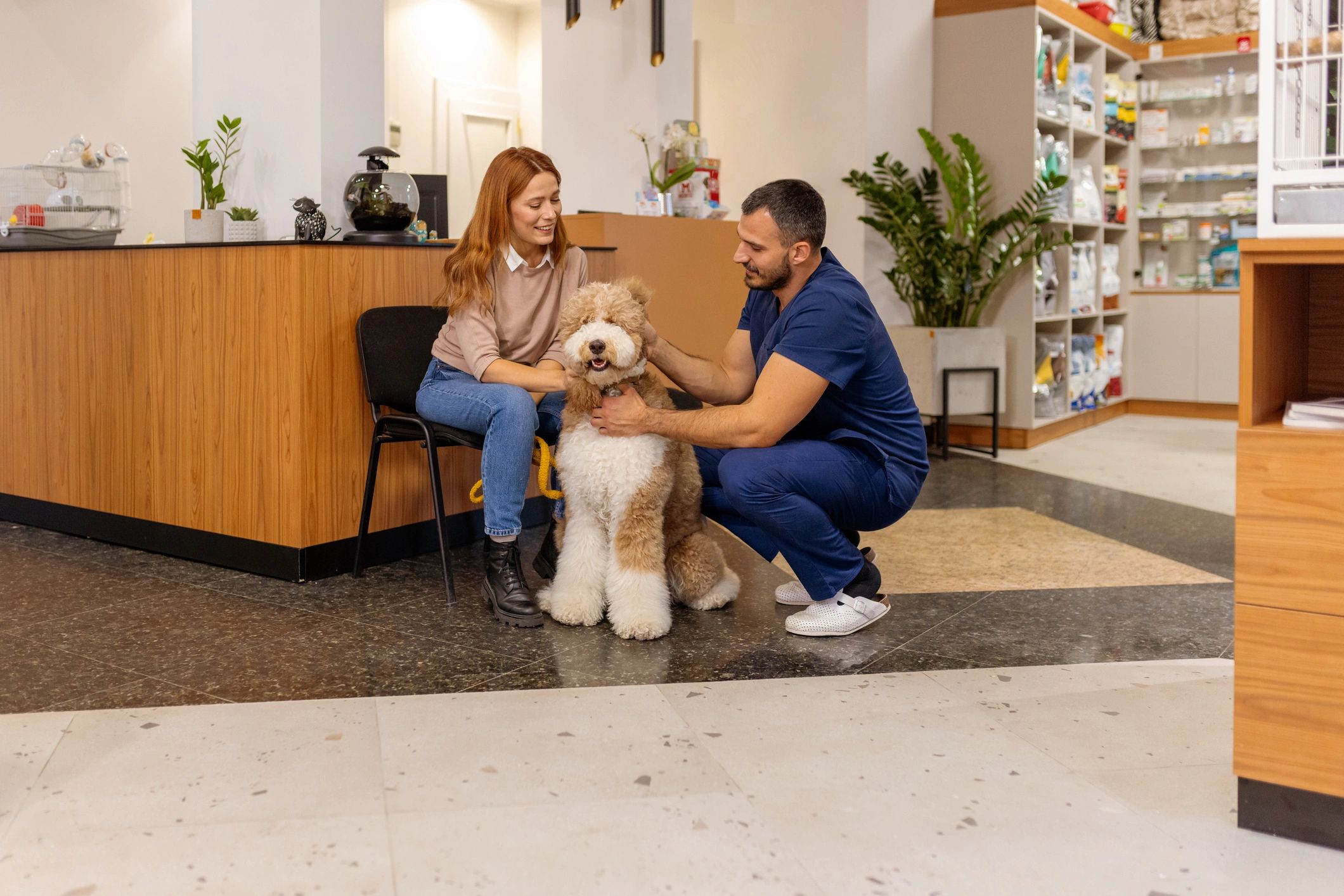 Veterinarian and pet owner talking while petting a dog in a clinic