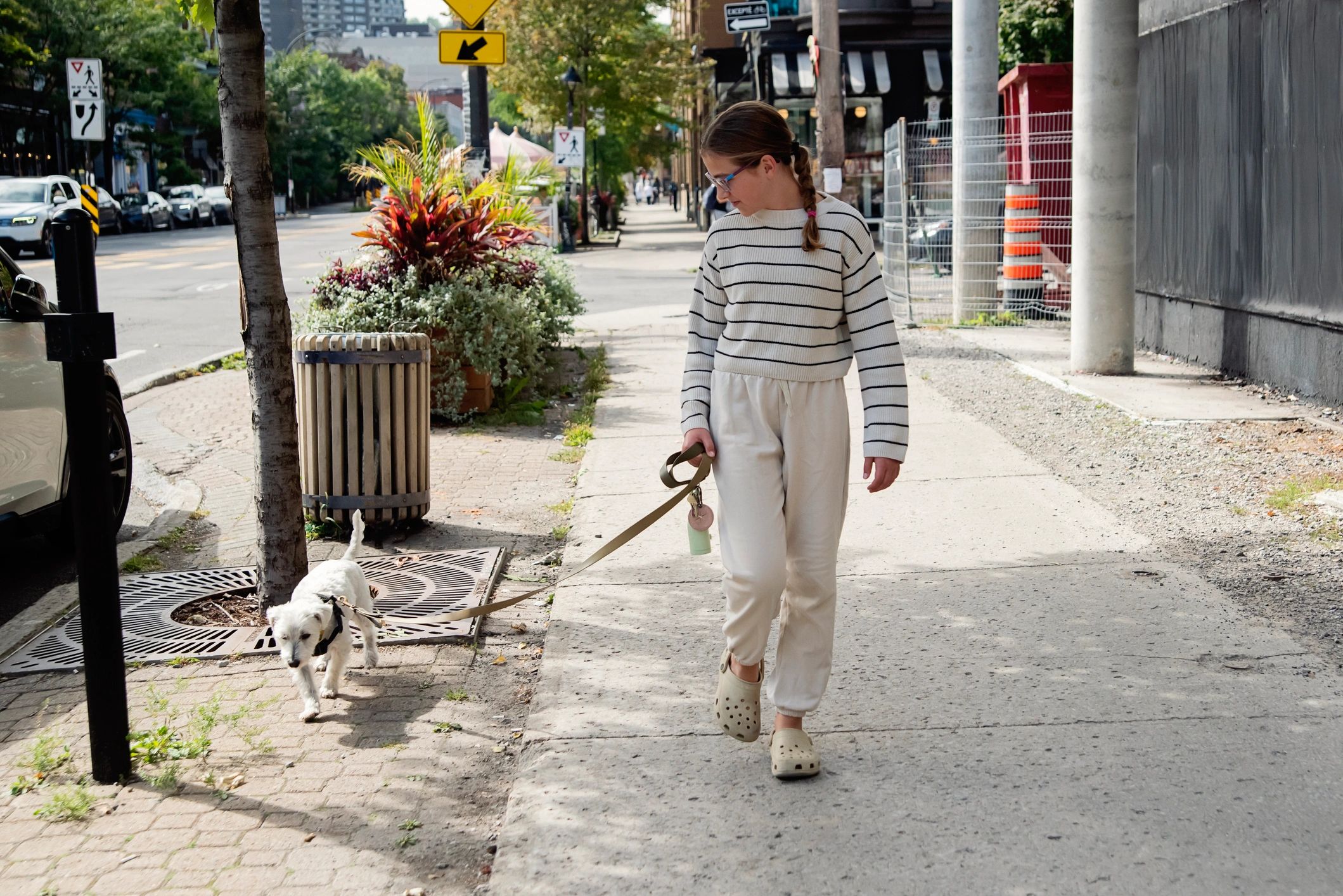 Pet owner walking a dog outdoors on a leash