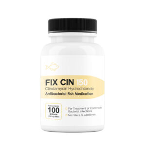 Fix Cin 150 clindamycin 150 mg antibacterial fish medication, 100-count bottle