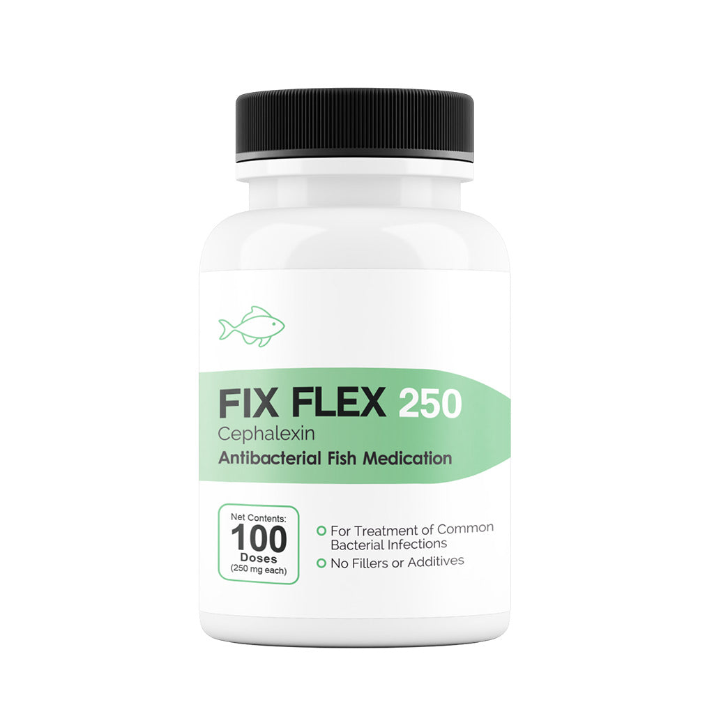 Fix Flex 250 cephalexin 250 mg antibacterial fish medication, 100-count bottle