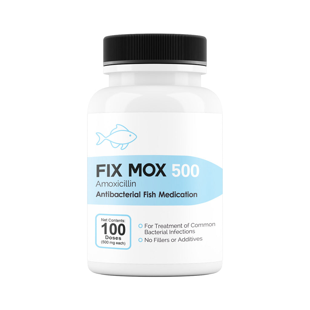 Fix Mox 500 amoxicillin antibacterial fish medication, 100-count bottle