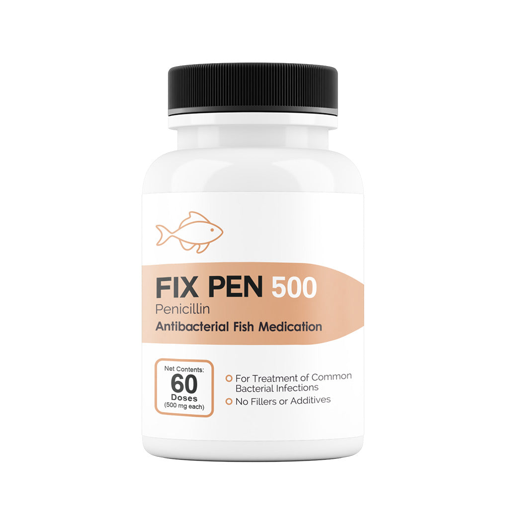 Fix Pen 500 penicillin 500 mg antibacterial fish medication, 60-count bottle