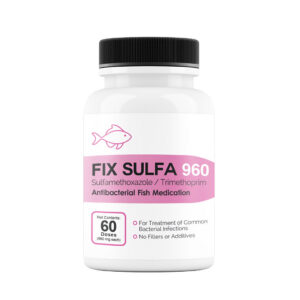 Fix Sulfa 960 sulfamethoxazole trimethoprim 960 mg antibacterial fish medication, 60-count bottle